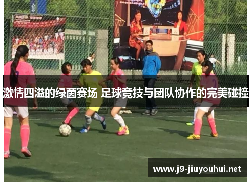激情四溢的绿茵赛场 足球竞技与团队协作的完美碰撞